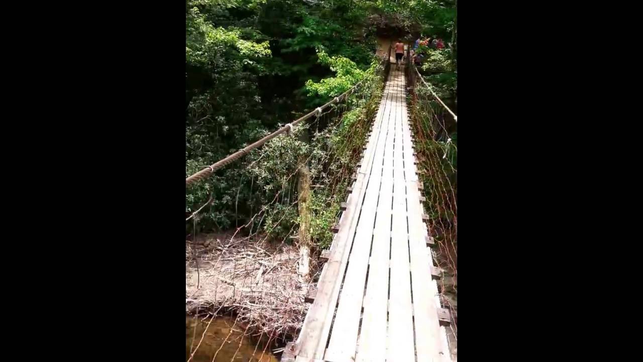 Suspension Bridge at Fall Creek Falls May 2016 YouTube