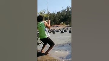 câu cá biển, lại toàn cá nhỏ