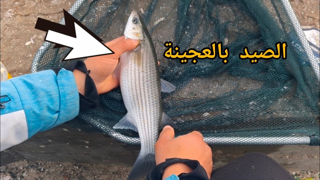 صيد السمك في  رمضان شهر الخير والبركة