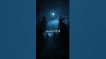 يا عبادي لا خوف عليكم اليوم ولا انتم تحزنون | سورة الزخرف | محمد صديق المنشاوي