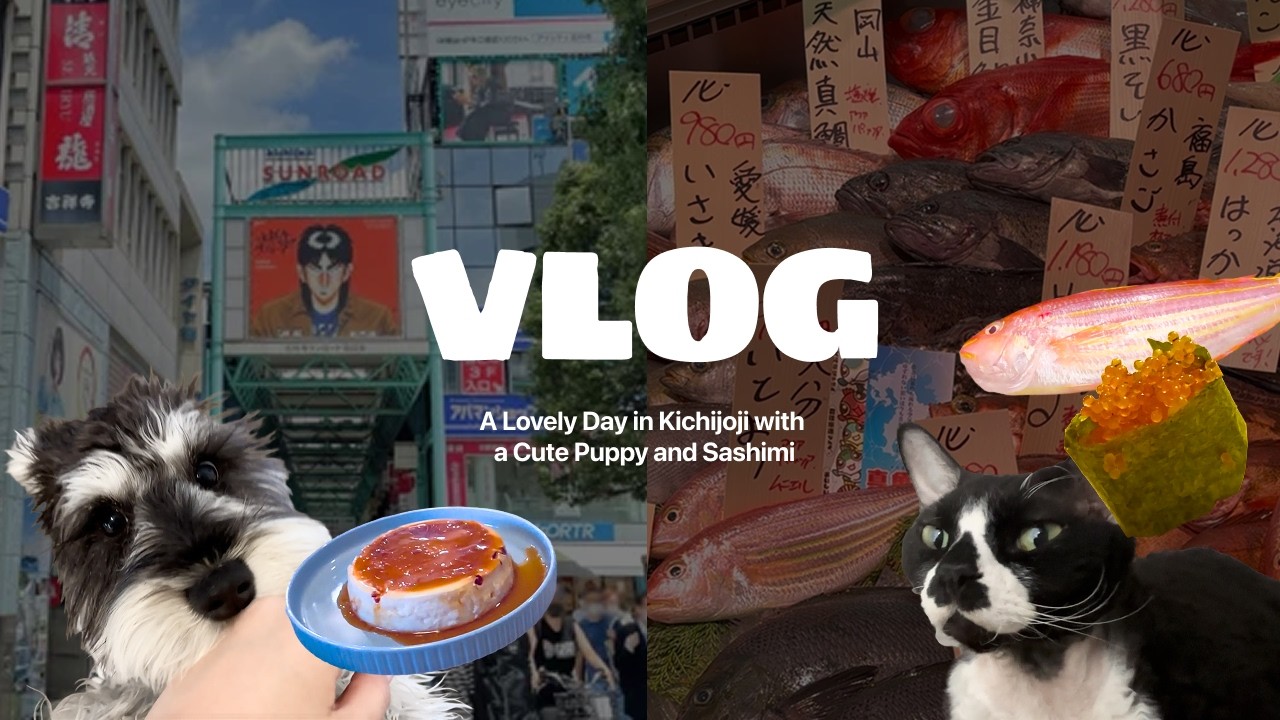 도쿄 직장인의 주말 클라스,결국 집에서 회까지 떴습니다(ft.키치죠지,이노카시라 공원 산책 그리고 집에서 초밥🍣🐶東京で住んでいる韓国人の週末の過ごし方、家で刺身を作る