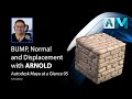 Maya at a Glance: Bump map, Normal Maps and Displacement maps in Arnold