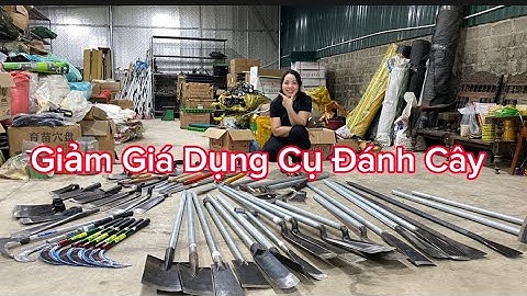 Dầm Bản Thẳng, Dầm Cổ Cò , Dầm Chuối, Toàn Bản Đặc Biệt , Thép Nhíp Ô Tô Cao Cấp Bao Sắc Ngọt.