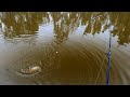 Float fishing For Big Carp With Corn