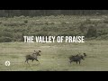 The valley of praise  audio reading  our daily bread devotional  april 19 2024