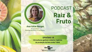 Podcast Raiz & Fruto - Ep. 18-Citricultores ganham sistema orgânico de produção de lima ácida Tahiti