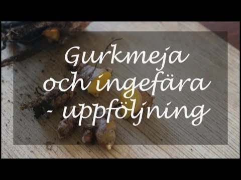 Video: 3 sätt att skala tomater