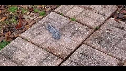Close up look at firecrackers exploding