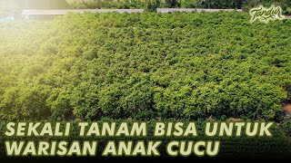 Maksimalkan Lahan Di Desa Bisa Hidup Sejahtera Lintas Generasi!