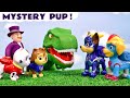 Mighty Pups Rescue Story With The Kitty Crew