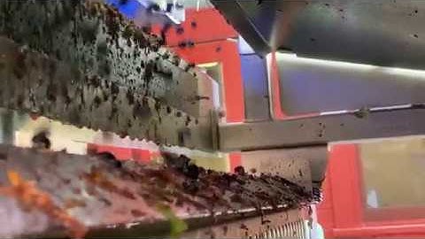 Optical Sorter in Slow-Motion: Harvest 2019