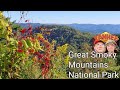 Fall Colors Starting to show in the Great Smoky Mountains National Park & Hidden Hiker Tunnel 2020