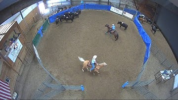 Big Sky Ranch Sorting Saddle Series Finals - #3 - Round #2 - Ride #5