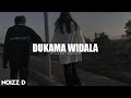 Dukama widala    slowedreverb by noizzdmusic