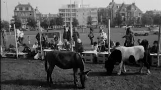 1973: Dierendag op het Museumplein in Amsterdam - oude filmbeelden