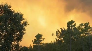 Incêndios não dão tréguas em Portugal