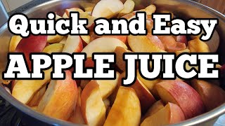 Frozen Apple Juice Concentrate for Beginners - Roadside Homestead