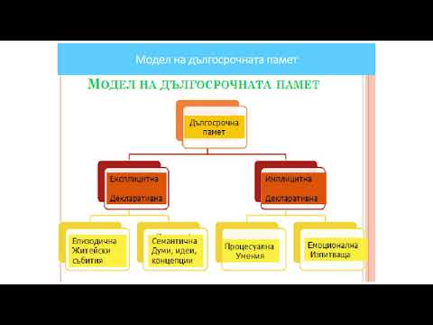 Екзекутивните функции и влиянието им върху ученето