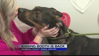 Kissing Booth is back at the Marshall County Animal Shelter