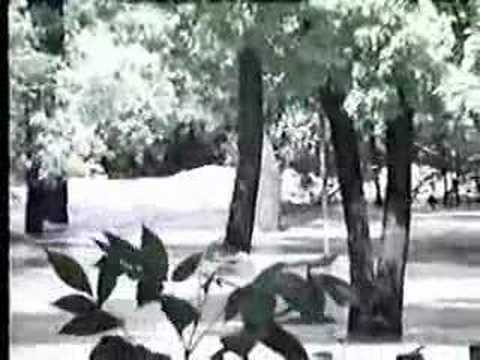 Video of the Menomonee River flood of June 21, 1997 in Wauwatosa Wisconsin. Part 1 includes Jacobus Park & 70th street locations. Part 2 includes the village center and Hart Park locations. Part 3 includes video of the river days after the flood, and a comparative slide show of during, after, and long after the event. The satellite imagery is from 2005.