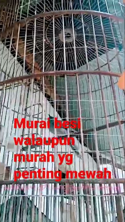 murai besi mewah