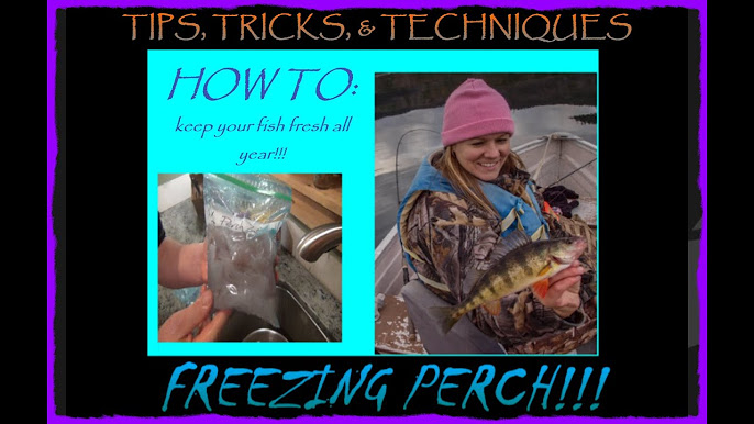 Perch Fishing Tips - The Only 5 Perch Baits That Matter 