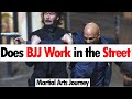 Does BJJ Work in the Street?