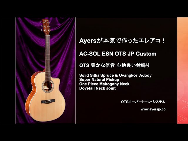 ayersエアーズ ギター AC-SOL ESN OTS JP Custom