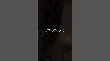 وَحُشِرَ لِسُلَيْمَانَ جُنُودُهُ مِنَ الْجِنِّ وَالْإِنسِ || سورة النمل #محمد_اللحيدان 🤍🌱