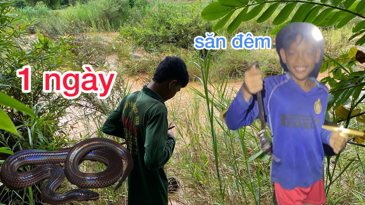 1 ngày ngủ lại trong rẫy / săn đêm nguy hiểm|| khiếp vlog