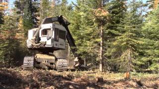 East Face Project Reduces Wildfire Risk in Eastern Oregon