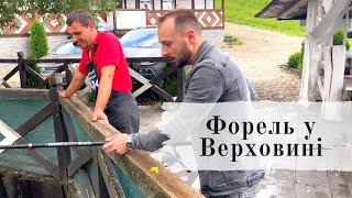 Верховина | Форельне господарство «Fazenda Fishbone»