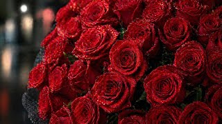 Александр Марцинкевич & Кабриолет — Розы🌹 (Красные розы) | Cinematic Video by Jeya Shai🌹🎼