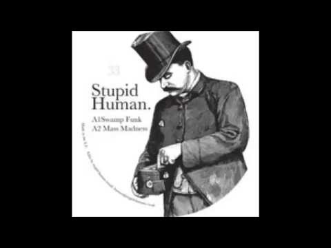 Stupid Human - Swamp Funk