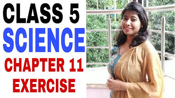 Class 5 Science Chapter 11 Exercise || CBSE Board || Prachi || Rocks And Minerals (Part 3)