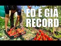ðŸ…ðŸ…ðŸ… Raccolto MIRACOLOSO di POMODORI ðŸ…ðŸ…ðŸ…
