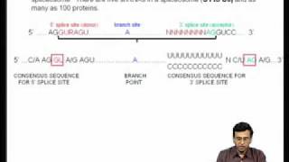 Mod-04 Lec-11 Co-transcriptional and post-transcriptional modifications of pre messenger RNA-I