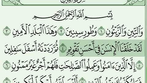 @علي جابر _ Ali Jaber سورة التين