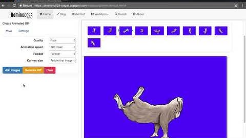 How to create animated GIF with this Google Chrome hosted web app