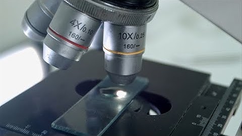 Scientist Adjusting Microscope Stock Video