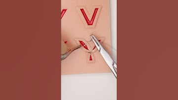 3D-geprinte wonden #hechtingspraktijk #chirurgie #hechten #dierenarts #geneeskunde #chirurg #leuk...