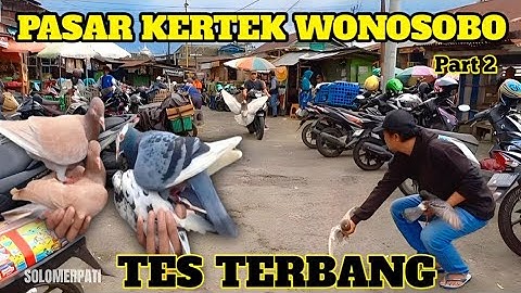 BERBURU MERPATI GIRINGAN DIPASAR KERTEK WONOSOBO LANGSUNG DI TES TERBANG MANTAP PART 2