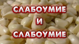 САМОЕ НЕОБЫЧНОЕ ВИДЕО О НЕОБЫЧНОМ САМОГОНЕ