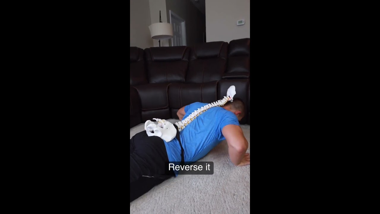Exercise To Reverse Disc Herniation 