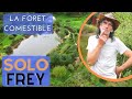 La foret comestible de solofrey  lermite hors systeme