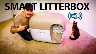 Say Goodbye to Scooping! The BEST Automatic Cat Litter Box [2024]