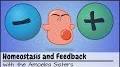 Video for Positive feedback and negative feedback