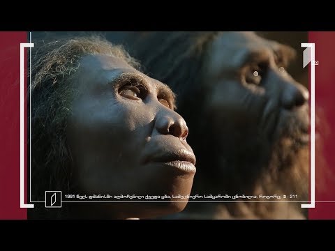 ექსპონატით მოყოლილი საქართველოს ისტორია - „მზია“