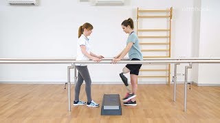 ジニウム歩行トレーニング - 階段上り機能＆障害物の乗越え機能 基本編