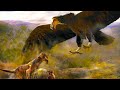 Prehistoric Beasts - Argentavis - Terror of the Skies